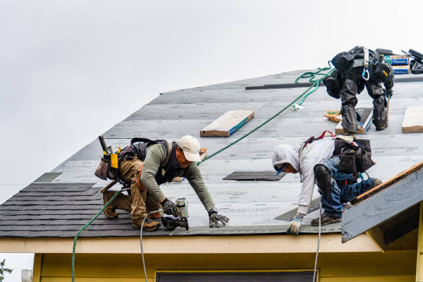 Professional Gutter Installation technician working in Shannon City, IA